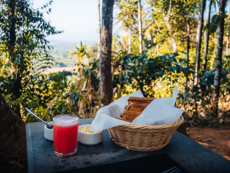 Breakfast served outdoors among the trees