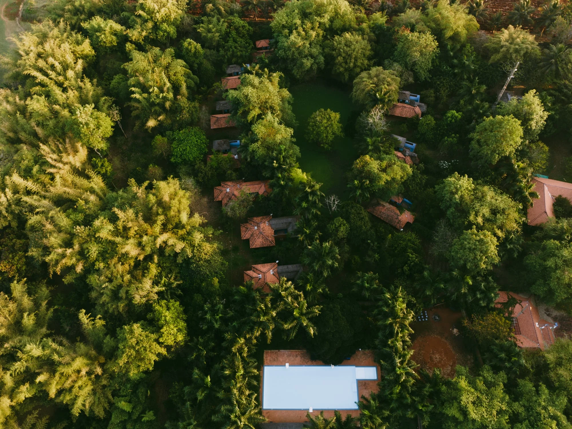 Red Earth cottages sheltered within a dense green landscape