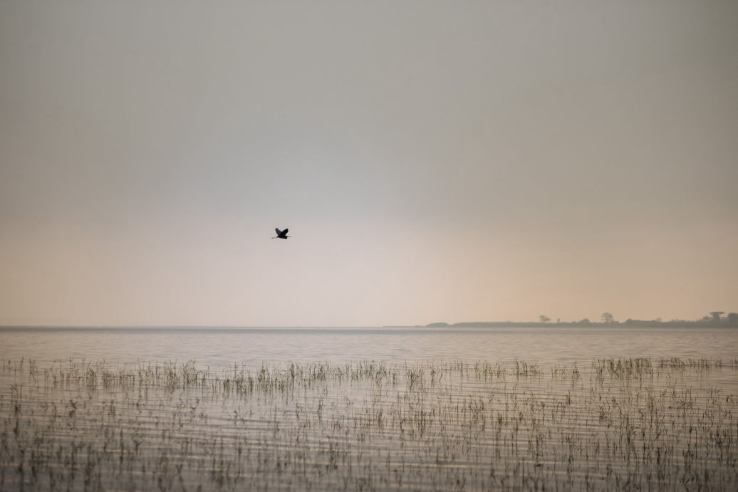 A River Near Red Earth Kabini Resort 