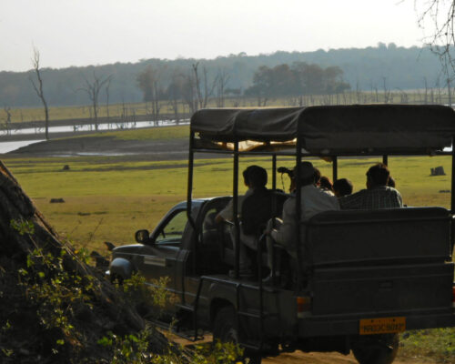 Plan The Best Long Weekend In Kabini This January 2021