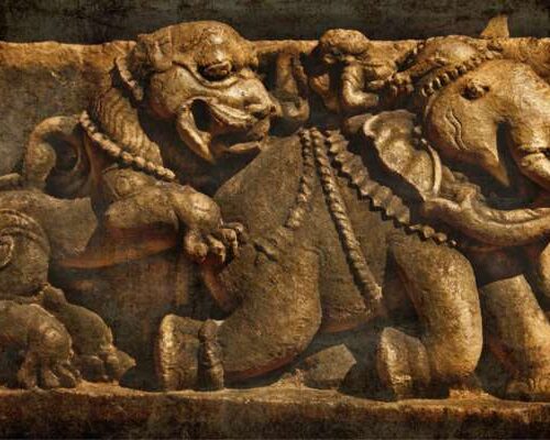 History of Tadoba and Chandrapur