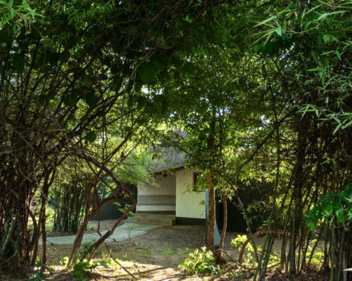 Wellness Holiday In Tadoba