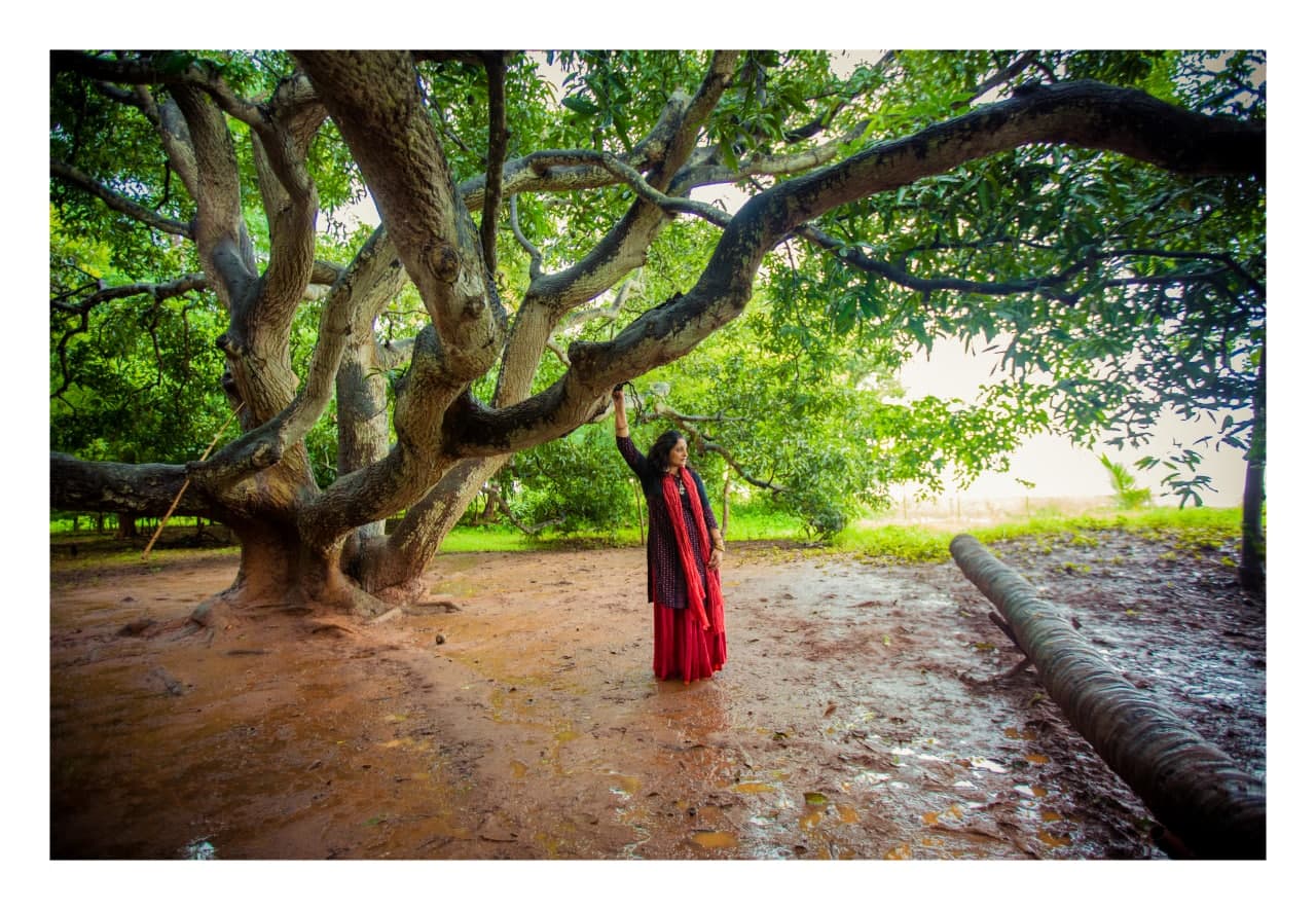 mother tree at our resort in kabini