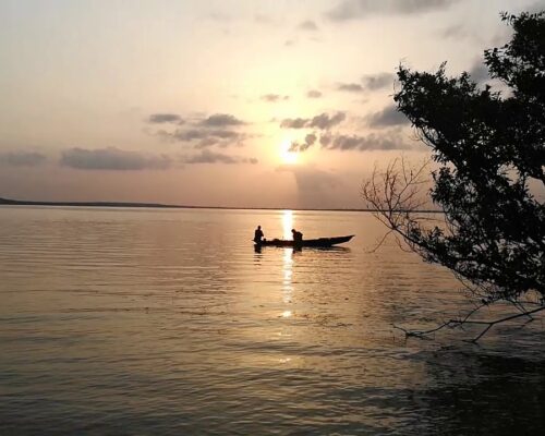 5 Things To Do When You Visit Tadoba