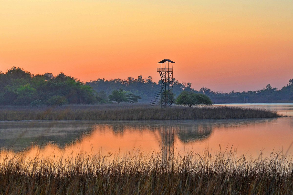 Photos of Davis, West Virginia bird watching trails | AllTrails