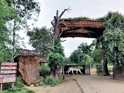 National Parks & Wildlife Sanctuaries in Andhra Pradesh | APPSC Groups_60.1