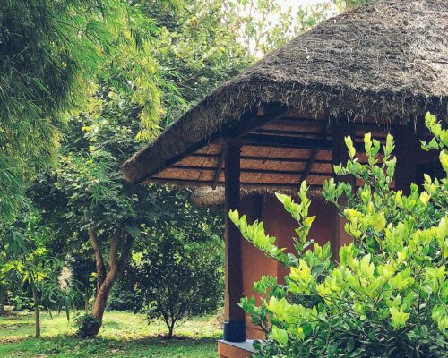 Eco-Friendly Resort in Kabini: Red Earth Kabini