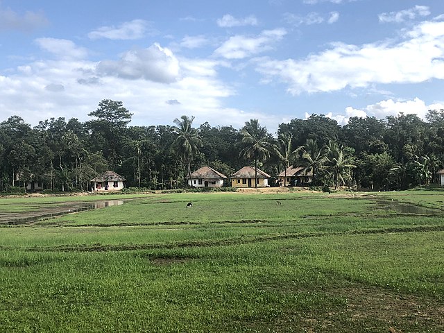 Kabini Village