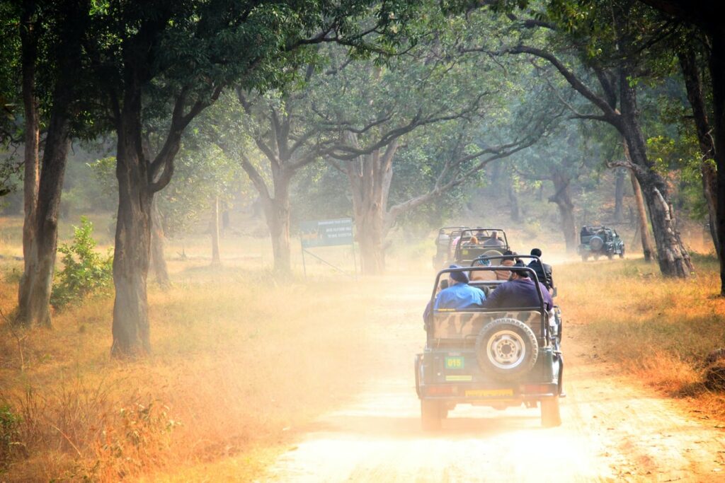 Jeep Safari