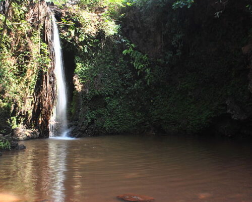 Things to do in Gokarna : Apsarakonda Falls | Resorts in Gokarna