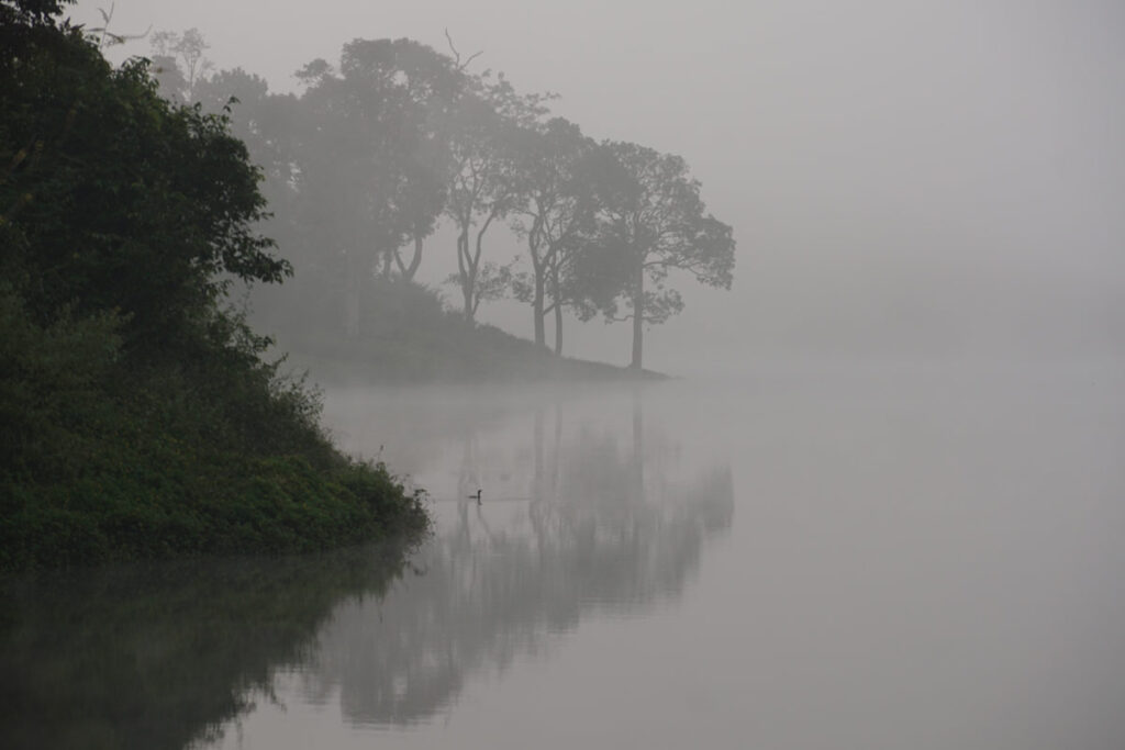 Kabini Where Forests Meet