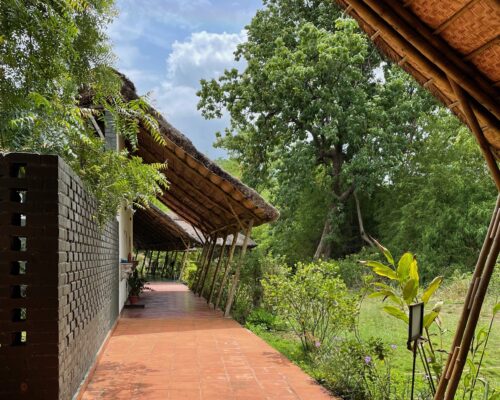 Ecotourism in Tadoba