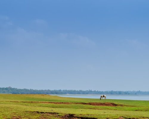 Kabini’s Serene Backwaters