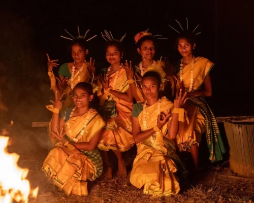 Unveiling the Treasures Beyond Tadoba’s Safari