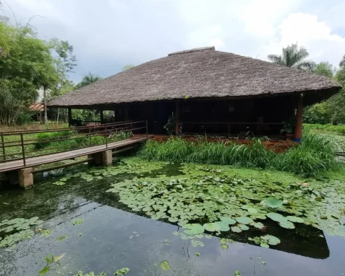 Embracing Nature’s Embrace: Red Earth Kabini Eco-Friendly Resort