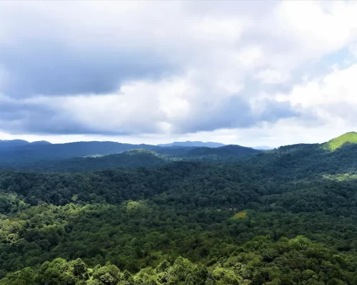 The Western Ghats Expeditions