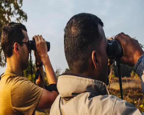 Family-Friendly Activities in Kabini: Adventures for All Ages