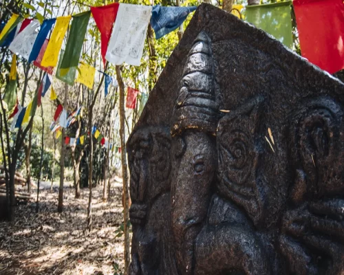 Cultural Experiences in Kabini: Exploring the Local Tribes and Traditions