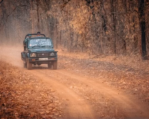 Into the Wild: Discover Nature and Luxury at Red Earth Tadoba