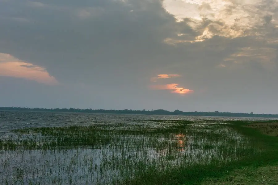 Luxury Resort in kabini