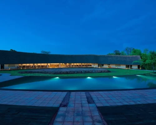 The Ultimate Wildlife Experience: Red Earth, the Best Resort in Tadoba