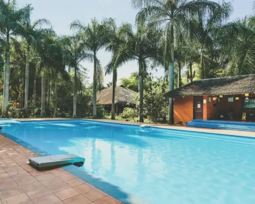 Pet-Friendly Vacations in Kabini: Why Red Earth is the Best Resort for Animal Lovers