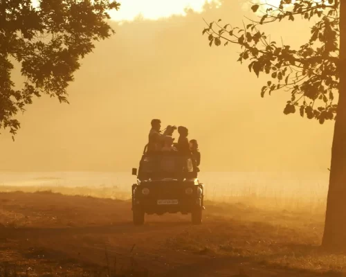 Beyond the Safari: Unique Nature Experiences at Red Earth, the Best Resort in Tadoba