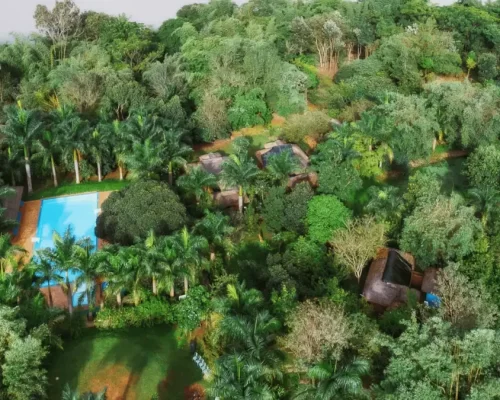 Kabini in Monsoon: A Season of Green at Red Earth Resort