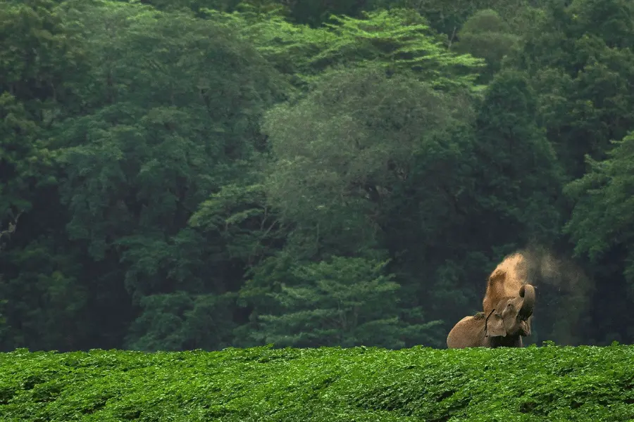 Best Resort in kabini