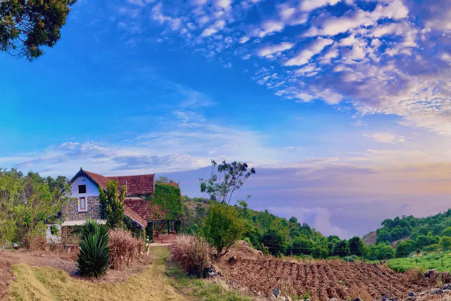 Best Resort in Nilgiris