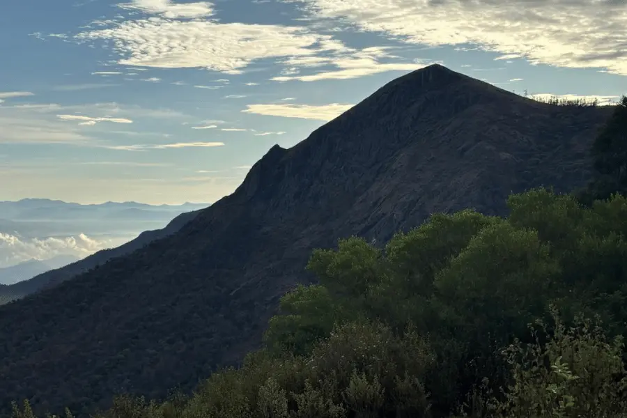 Best Resort in Nilgiris