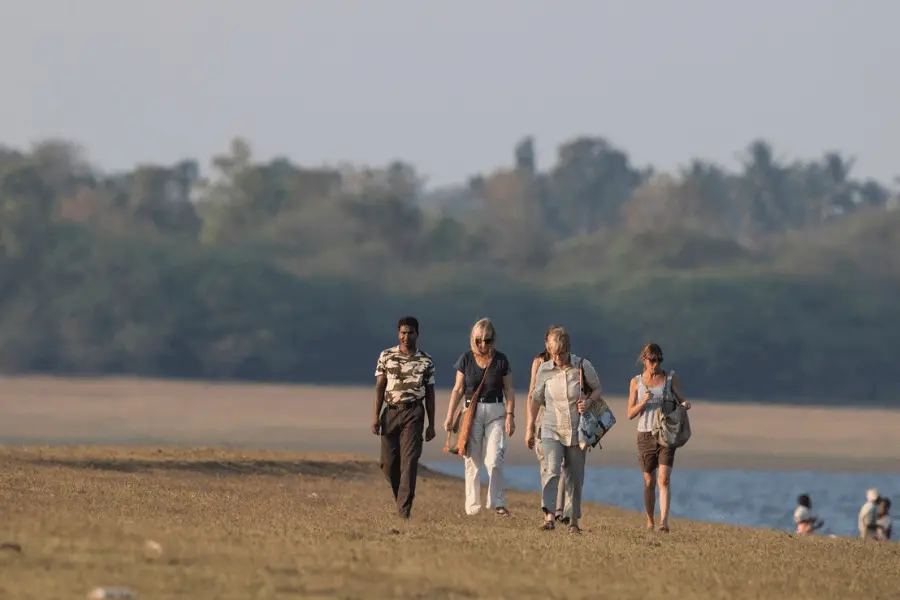 Best Resort in Kabini