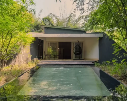 Sustainable Luxury Meets the Jungle: What Sets Red Earth Tadoba Apart