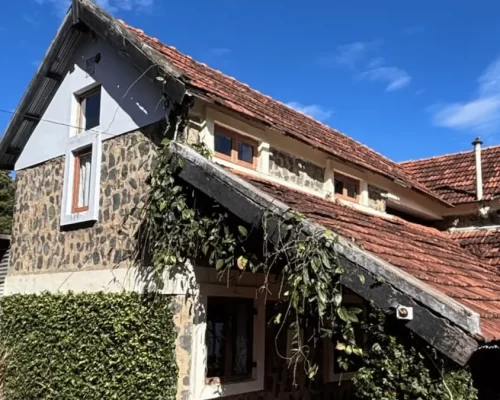 Wildlife, Wisdom, and the Western Ghats: A Stay at Red Earth Nilgiris