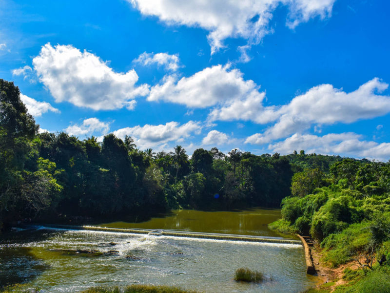 Things to do in Wayanad Grassroots Resort in Wayanad