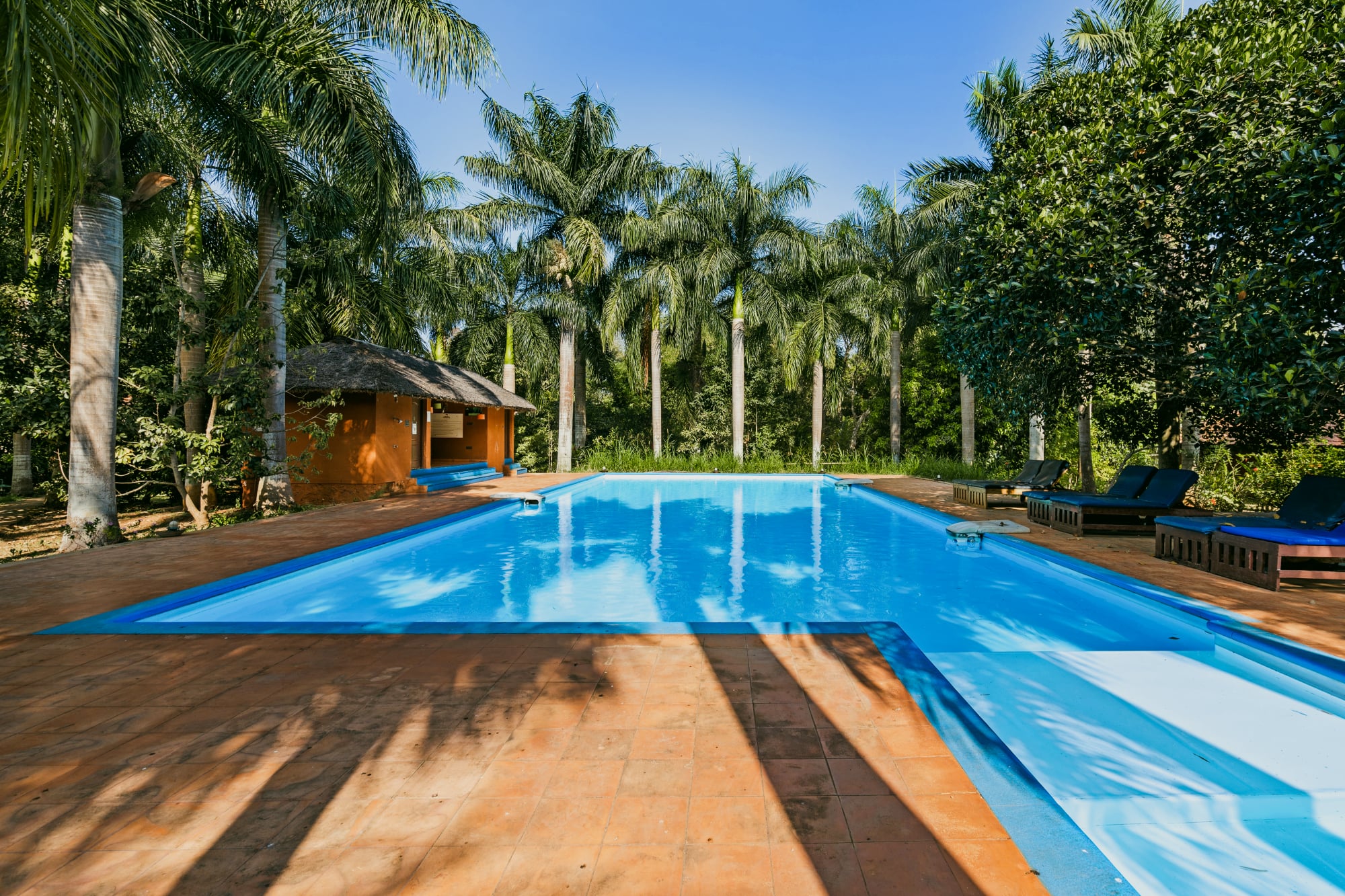 swimming pool at red earth kabini