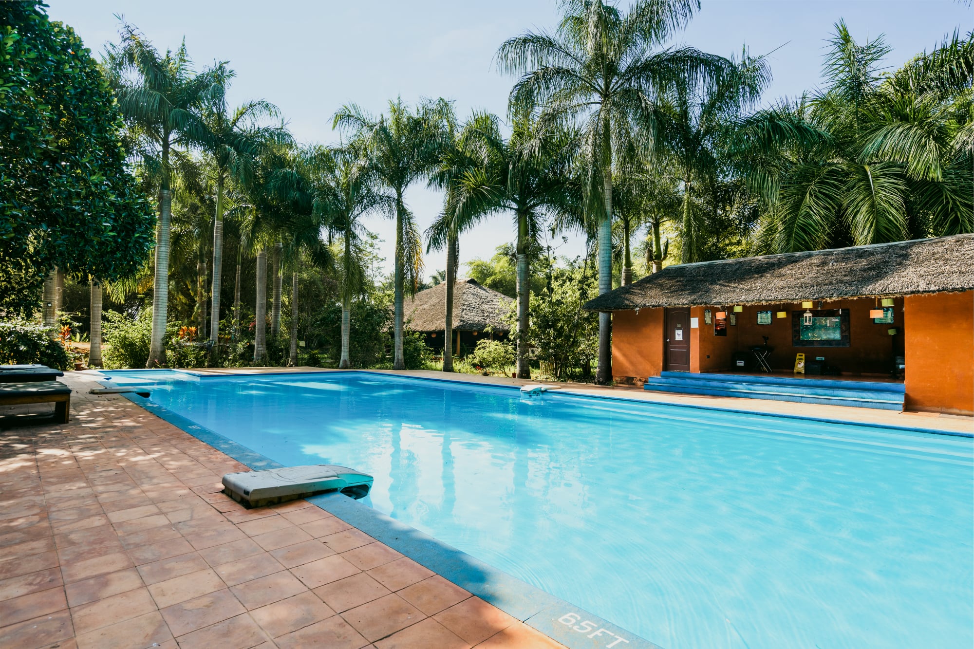 swimming pool at red earth kabini