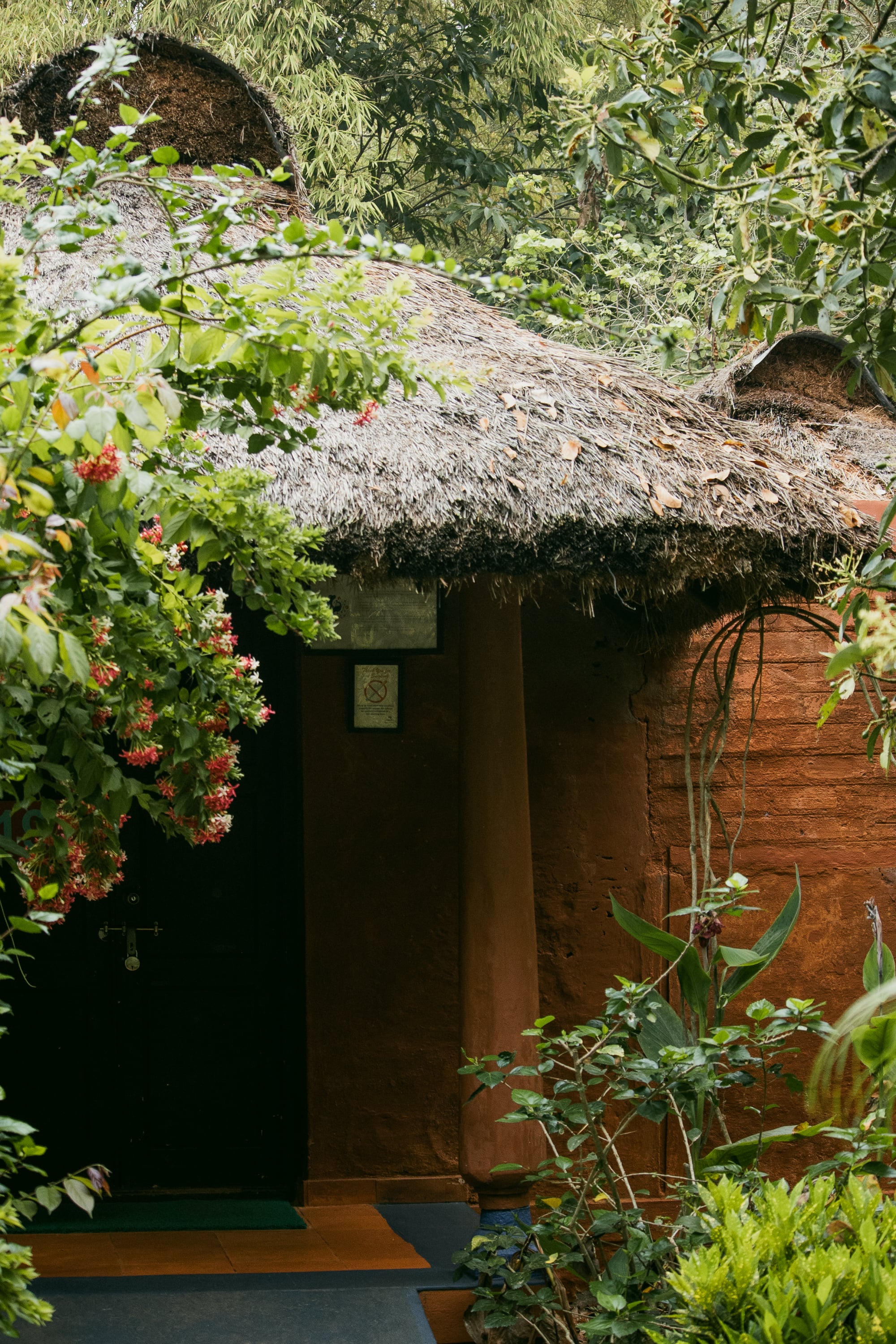 red earth kabini