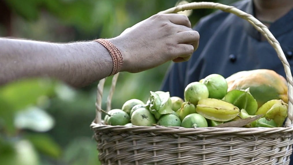 natural and fresh fruits at redearth kabini