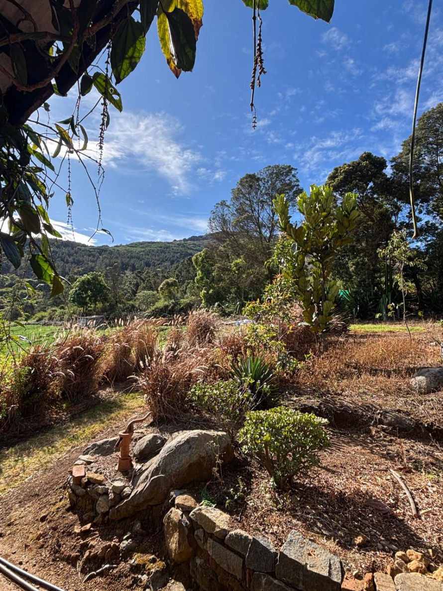 Living at best resort in Tadoba