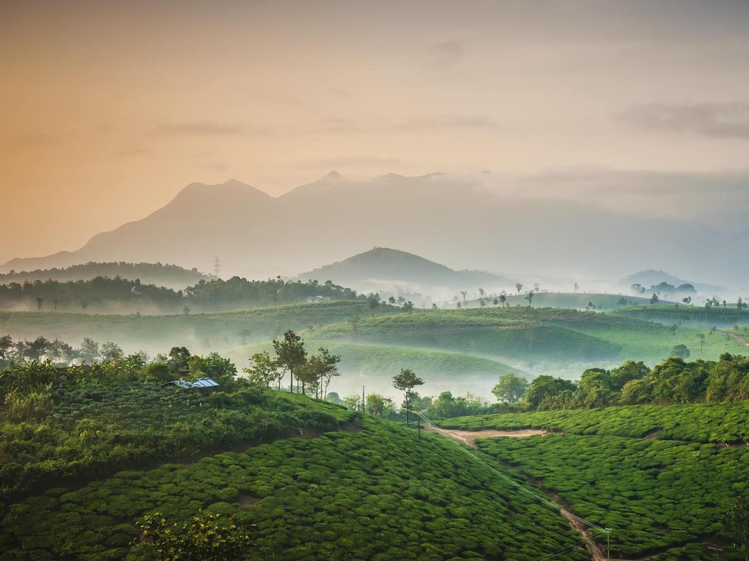 Red Earth Wayanad
