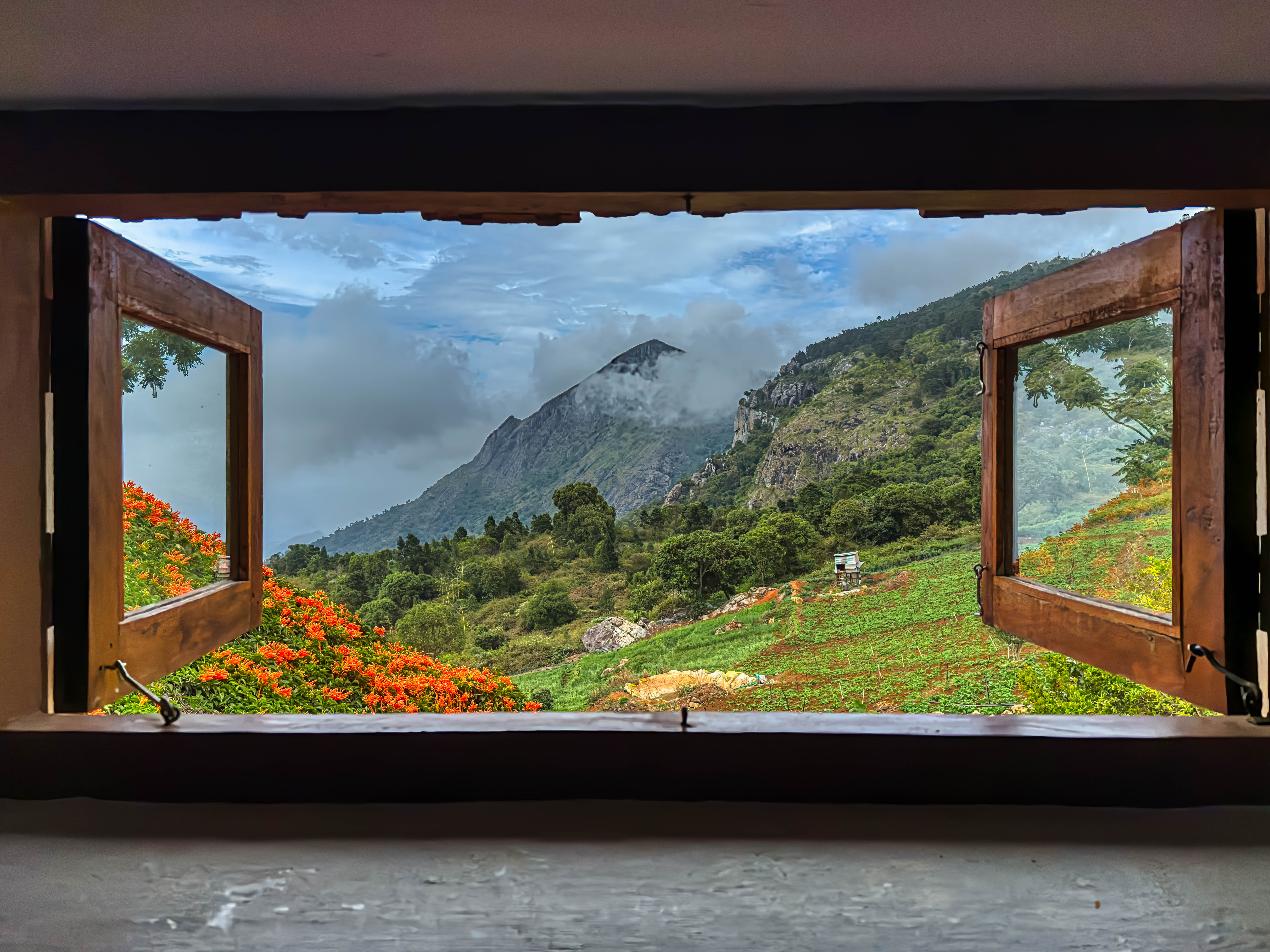 Nilgiris Nature Conservancy